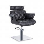 Hairdressing Chairs Hairdressing Chairs