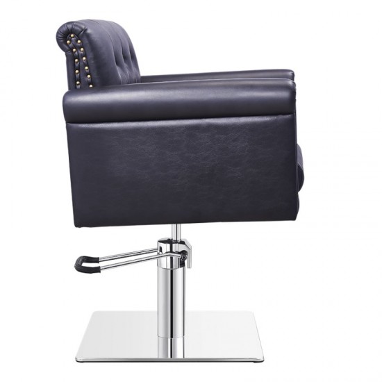 Salon chair DIR Lion II