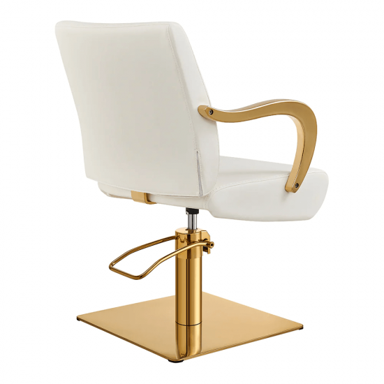 Salon chair DIR Meteor Gold