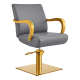 Salon chair DIR Meteor Gold