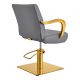 Salon chair DIR Meteor Gold