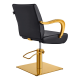 Salon chair DIR Meteor Gold