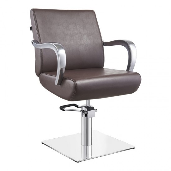 Salon chair DIR Meteor