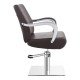 Salon chair DIR Meteor