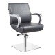 Salon chair DIR Meteor