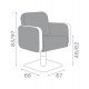 Salon chair Salon Ambience Icon II