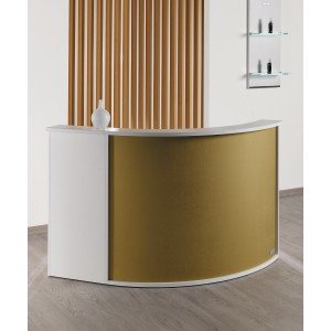 Reception desk Salon Ambience Form