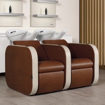 Kaip išsirinkti galvos plautuvę grožio salonui