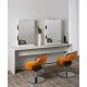 Salon station mirror double Salon Ambience Brooklyn