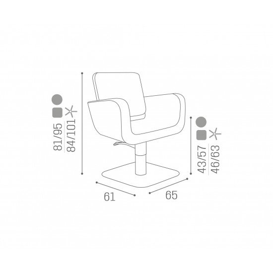 Kirpyklos kėdė Salon Ambience Venus II