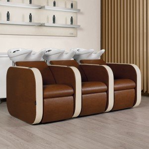 Kirpyklos plautuve triguba Salon Ambience Iconwash