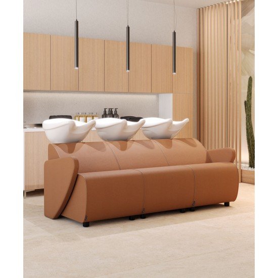 Salon triple backwash Salon Ambience Lunawash