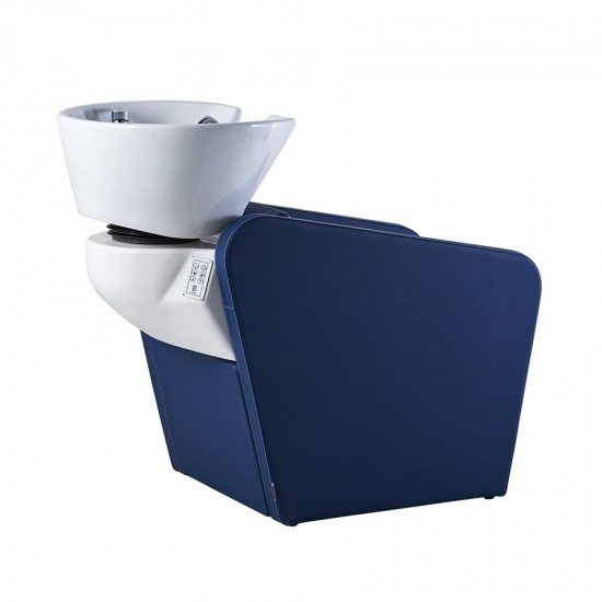 Salon backwash Vezzosi Dylan