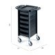Salon Trolley REM Apollo