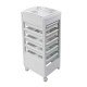 Salon Trolley Vezzosi Wow